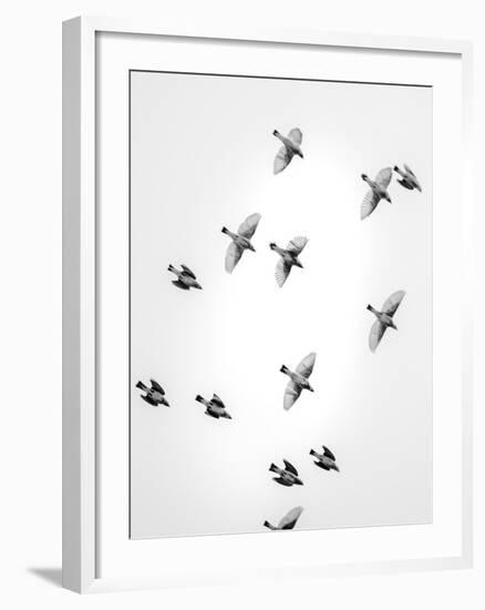 In the Sky 1-Design Fabrikken-Framed Photographic Print