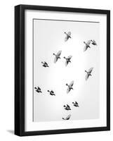 In the Sky 1-Design Fabrikken-Framed Photographic Print