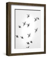 In the Sky 1-Design Fabrikken-Framed Photographic Print