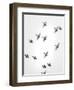 In the Sky 1-Design Fabrikken-Framed Photographic Print