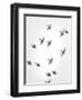 In the Sky 1-Design Fabrikken-Framed Photographic Print