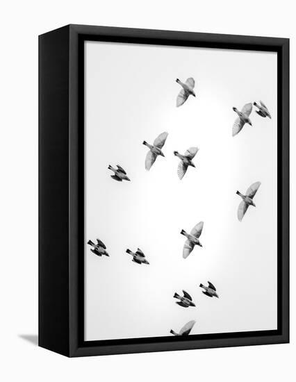 In the Sky 1-Design Fabrikken-Framed Stretched Canvas