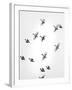 In the Sky 1-Design Fabrikken-Framed Premium Photographic Print