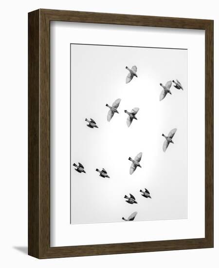 In the Sky 1-Design Fabrikken-Framed Photographic Print