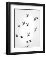 In the Sky 1-Design Fabrikken-Framed Photographic Print