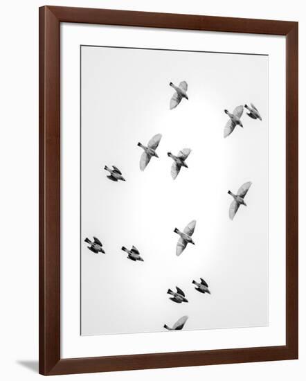 In the Sky 1-Design Fabrikken-Framed Photographic Print