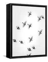 In the Sky 1-Design Fabrikken-Framed Stretched Canvas