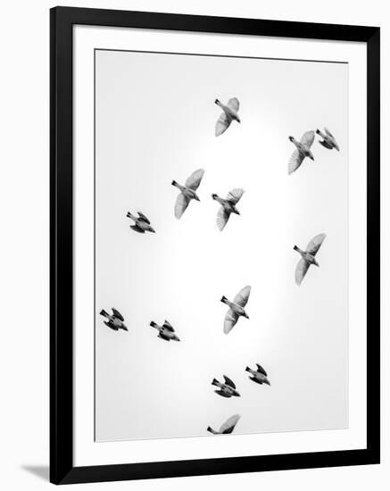 In the Sky 1-Design Fabrikken-Framed Photographic Print