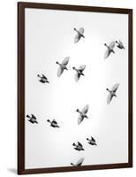 In the Sky 1-Design Fabrikken-Framed Photographic Print