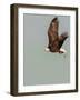 In the Sky 3-Design Fabrikken-Framed Photographic Print