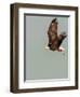 In the Sky 3-Design Fabrikken-Framed Photographic Print