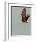 In the Sky 3-Design Fabrikken-Framed Photographic Print