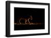 In The Spot-Mohammed Alnaser-Framed Photographic Print