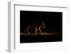 In The Spot-Mohammed Alnaser-Framed Photographic Print