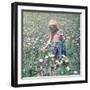 In the Spring Fields-The Chelsea Collection-Framed Giclee Print