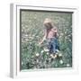 In the Spring Fields-The Chelsea Collection-Framed Giclee Print