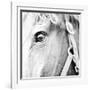 In the Stable I-Susan Bryant-Framed Photographic Print