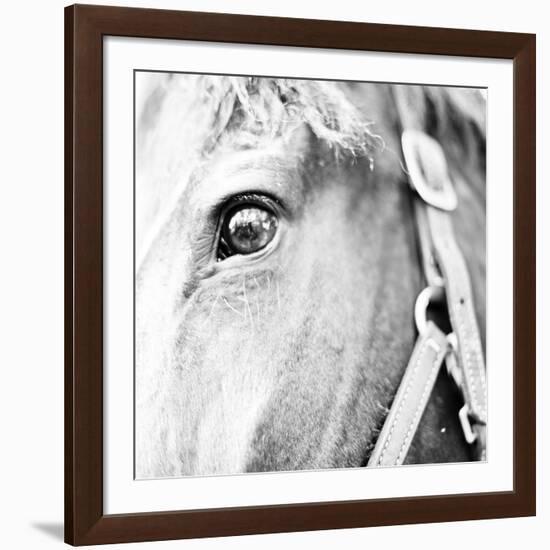 In the Stable I-Susan Bryant-Framed Photographic Print