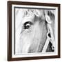 In the Stable I-Susan Bryant-Framed Photographic Print