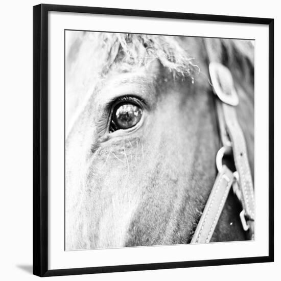 In the Stable I-Susan Bryant-Framed Photographic Print