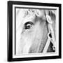 In the Stable I-Susan Bryant-Framed Photographic Print