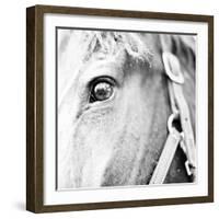 In the Stable I-Susan Bryant-Framed Photographic Print