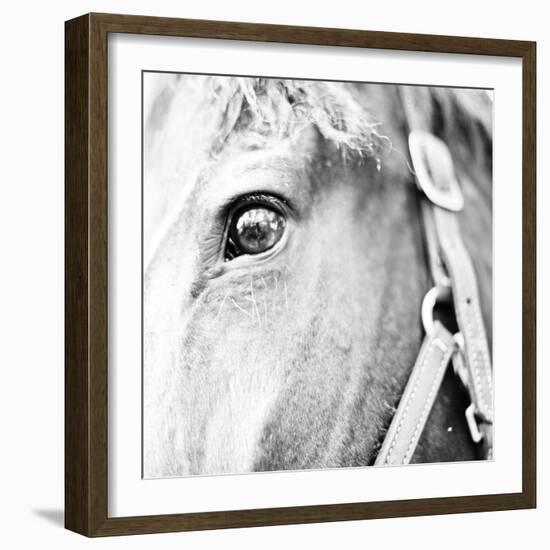 In the Stable I-Susan Bryant-Framed Photographic Print