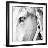 In the Stable I-Susan Bryant-Framed Photographic Print