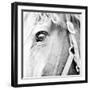 In the Stable I-Susan Bryant-Framed Photographic Print