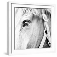 In the Stable I-Susan Bryant-Framed Photographic Print