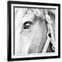 In the Stable I-Susan Bryant-Framed Photographic Print