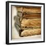 In the Stacks-Jessica Rogers-Framed Giclee Print