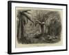 In the State Forest at Dandenong, Victoria-null-Framed Giclee Print