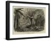 In the State Forest at Dandenong, Victoria-null-Framed Giclee Print