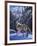 In the Still of the Tetons-R.W. Hedge-Framed Giclee Print