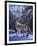 In the Still of the Tetons-R.W. Hedge-Framed Giclee Print