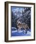 In the Still of the Tetons-R.W. Hedge-Framed Giclee Print