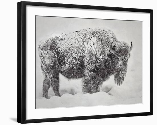 In the Storm-Wink Gaines-Framed Giclee Print