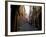 In the Streets of Portovenere, Liguria, Italy, Europe-Oliviero Olivieri-Framed Photographic Print