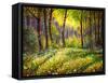 In the Sunny Forest-Valery Rybakow-Framed Stretched Canvas