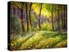 In the Sunny Forest-Valery Rybakow-Stretched Canvas