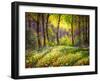 In the Sunny Forest-Valery Rybakow-Framed Art Print