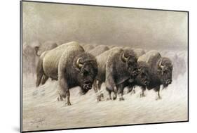 In the Teeth of the Blizzard-E.w. Lenders-Mounted Giclee Print