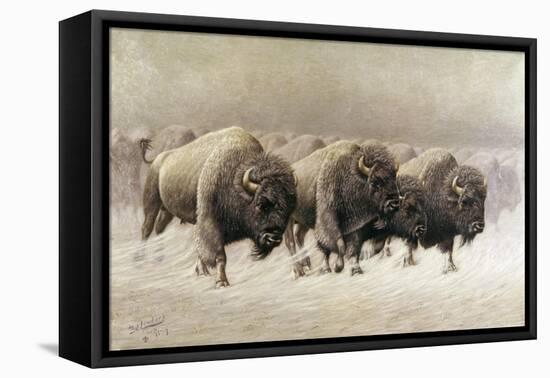 In the Teeth of the Blizzard-E.w. Lenders-Framed Stretched Canvas