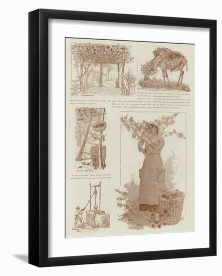 In the Time of the Vintage-null-Framed Giclee Print