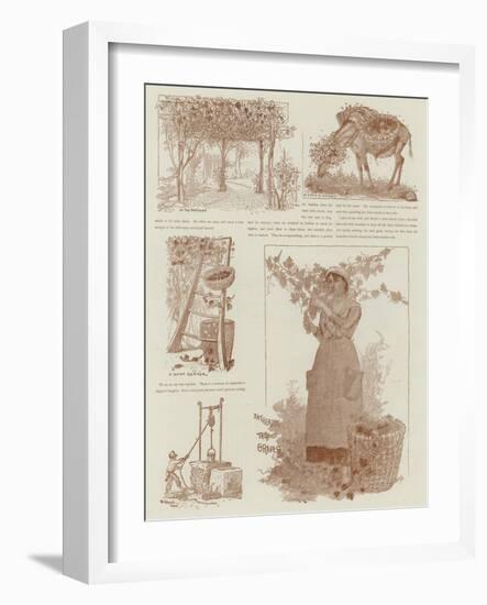 In the Time of the Vintage-null-Framed Giclee Print