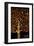 In the Tree of Life-Gustav Klimt-Framed Premium Giclee Print