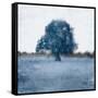 In the Tree-Kimberly Allen-Framed Stretched Canvas