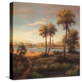 In the Tropics I-Haibin-Stretched Canvas