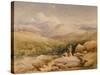 In the Welsh Hills-David Cox-Stretched Canvas